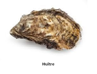 Huître